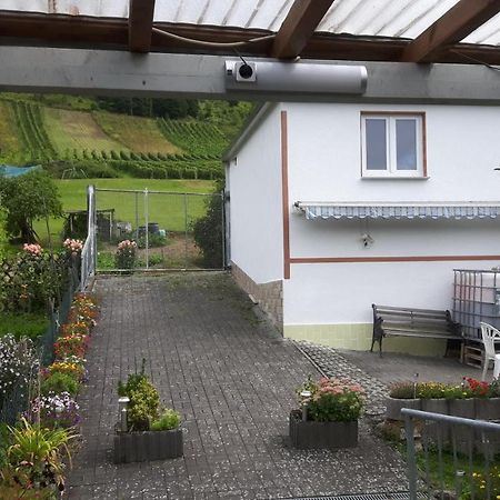 Zwei Ferienwohnungen "Im Weingarten " Burg (Bernkastel-Wittlich) Exterior foto