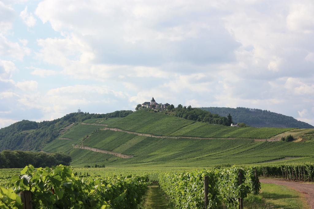 Zwei Ferienwohnungen "Im Weingarten " Burg (Bernkastel-Wittlich) Quarto foto
