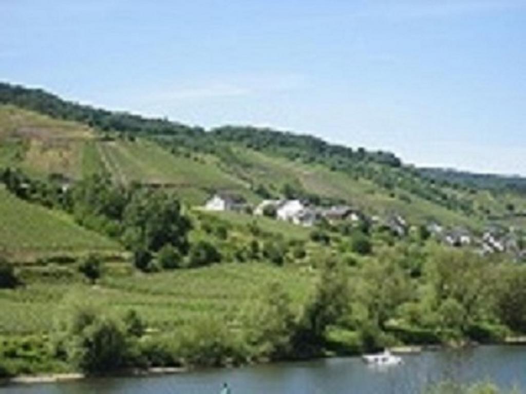 Zwei Ferienwohnungen "Im Weingarten " Burg (Bernkastel-Wittlich) Exterior foto