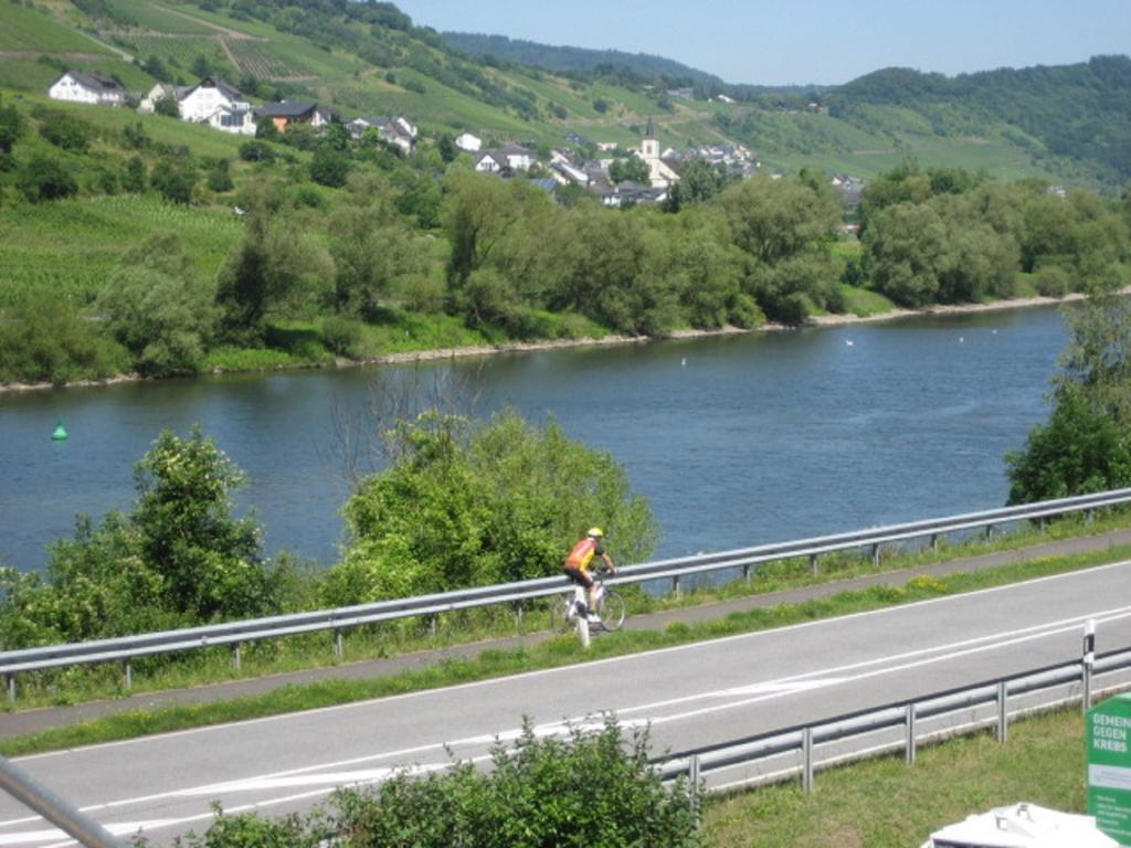 Zwei Ferienwohnungen "Im Weingarten " Burg (Bernkastel-Wittlich) Exterior foto